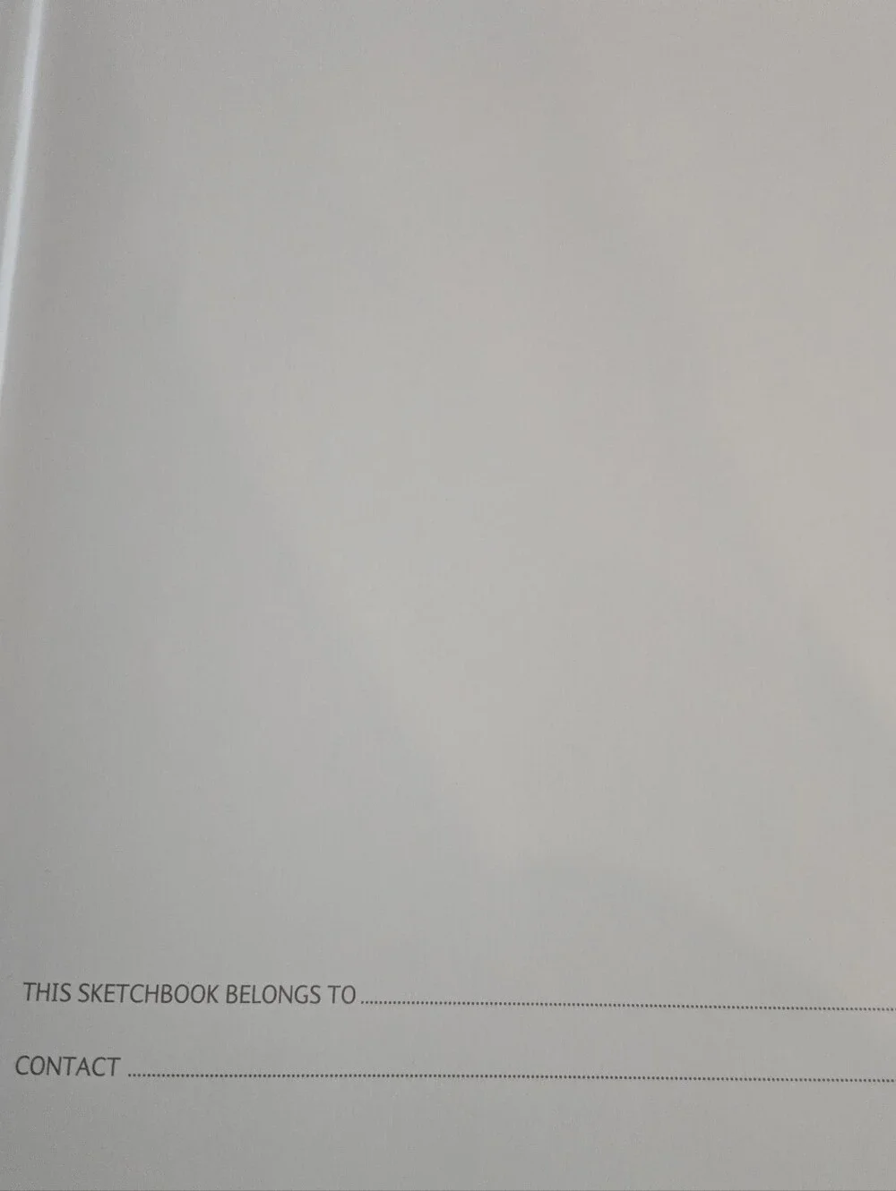 NEW Flame Tree Bodleian Libraries: High Jinks Bookshelves Blank Sketch Book